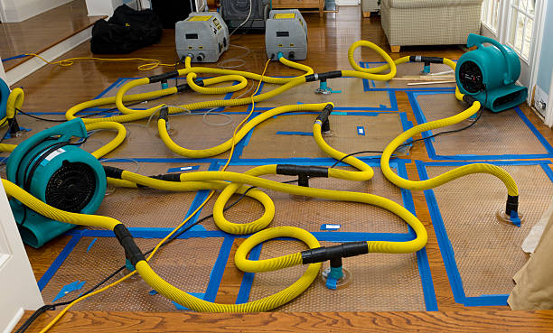 Professional Storm Water Damage Restoration technician working in Greentown, IN